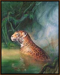 jaguar